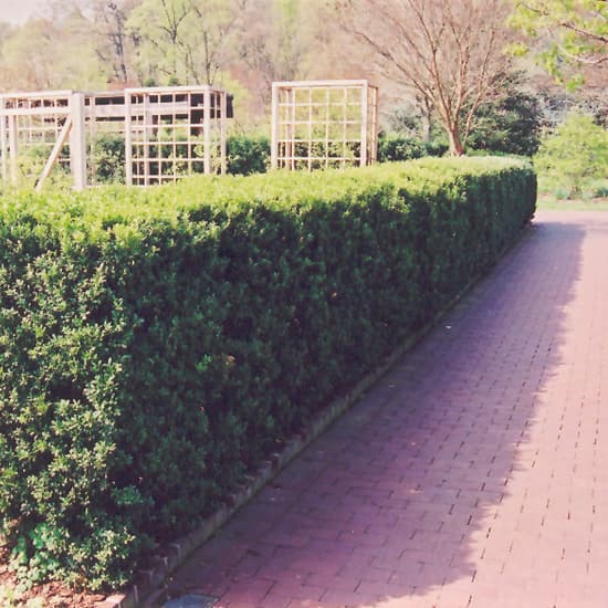 NetPS Plant Finder (www.netpsplantfinder.com)