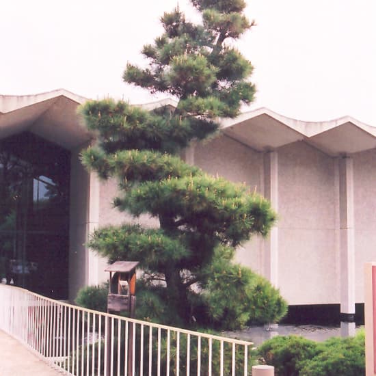 NetPS Plant Finder (www.netpsplantfinder.com)