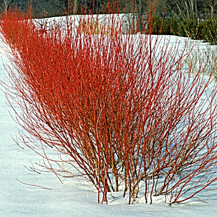 University of Minnesota (www.extension.umn.edu)