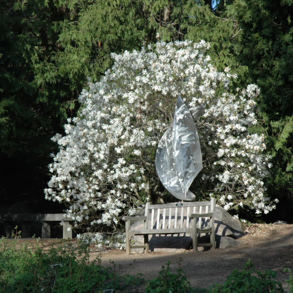 NetPS Plant Finder (www.netpsplantfinder.com)