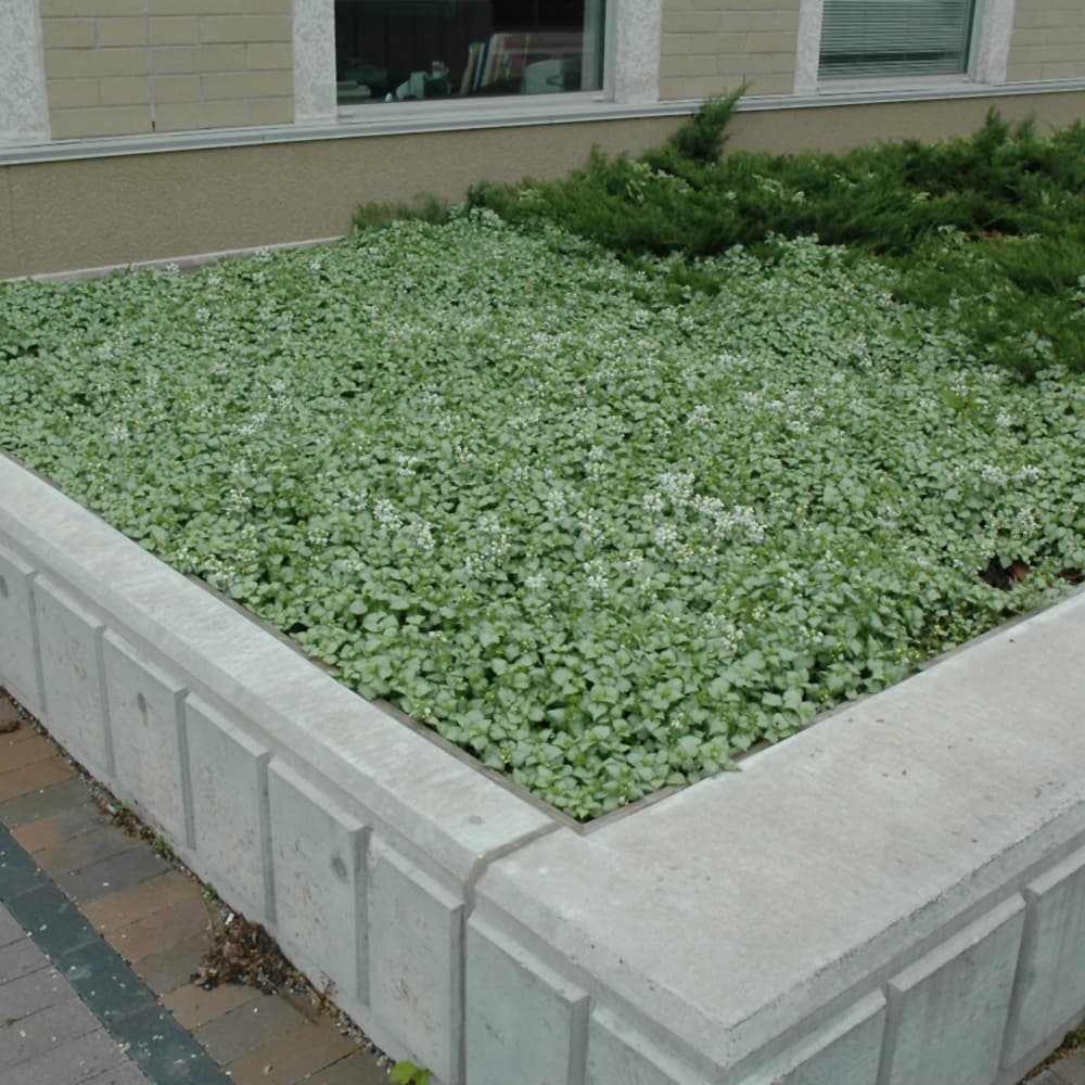 NetPS Plant Finder (www.netpsplantfinder.com)