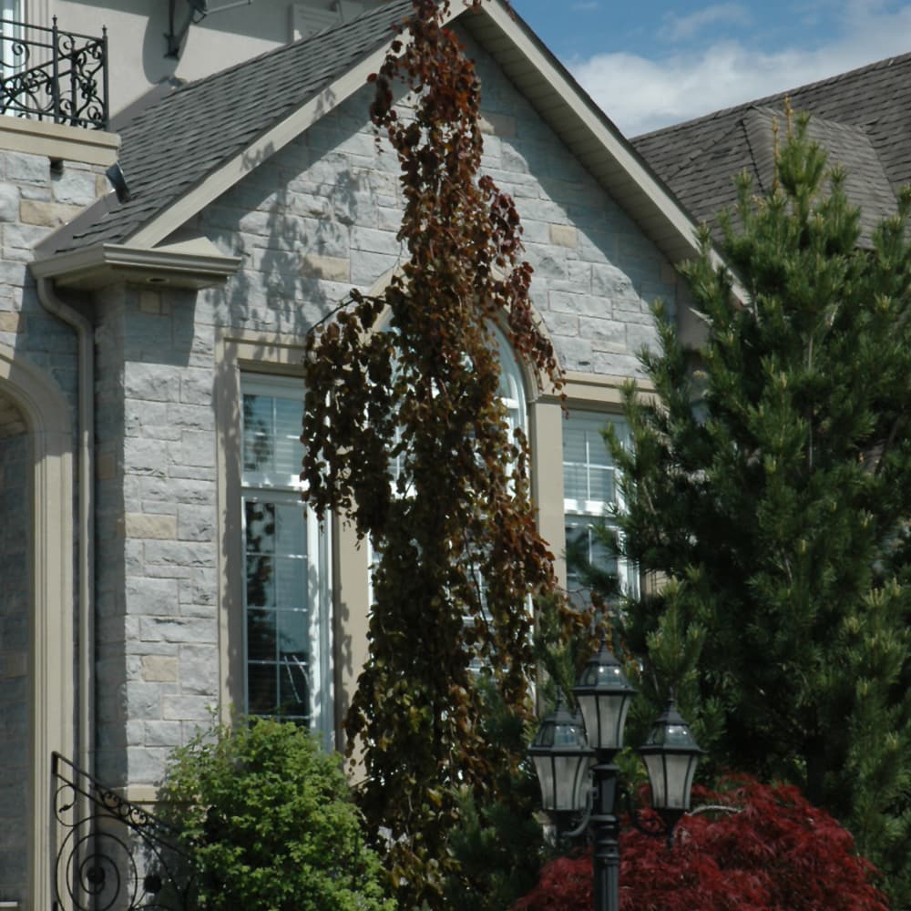 NetPS Plant Finder (www.netpsplantfinder.com)