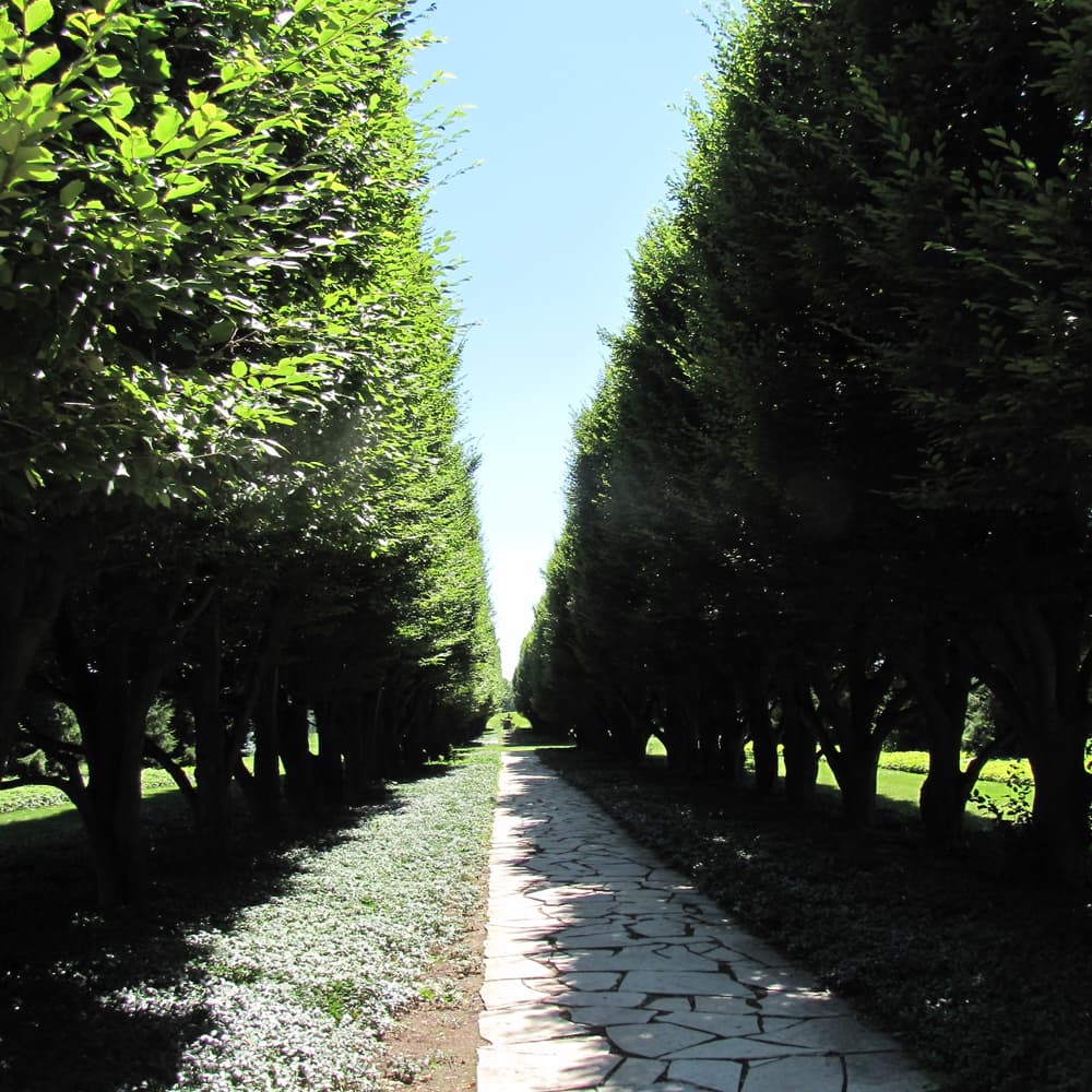 NetPS Plant Finder (www.netpsplantfinder.com)