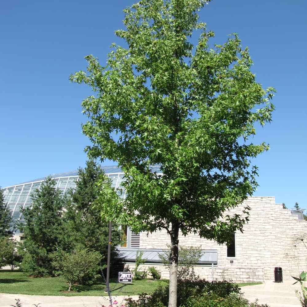 NetPS Plant Finder (www.netpsplantfinder.com)