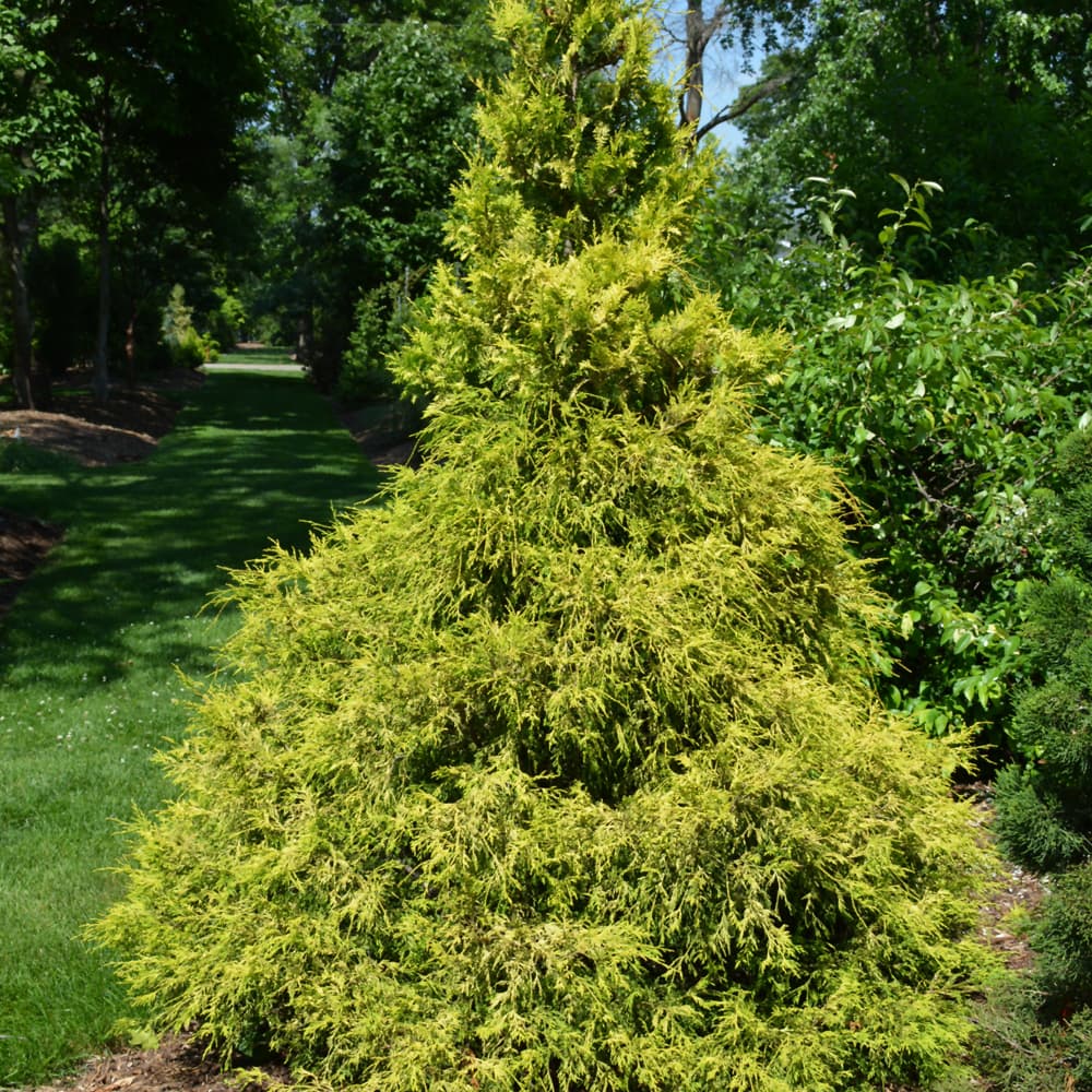 NetPS Plant Finder (www.netpsplantfinder.com)