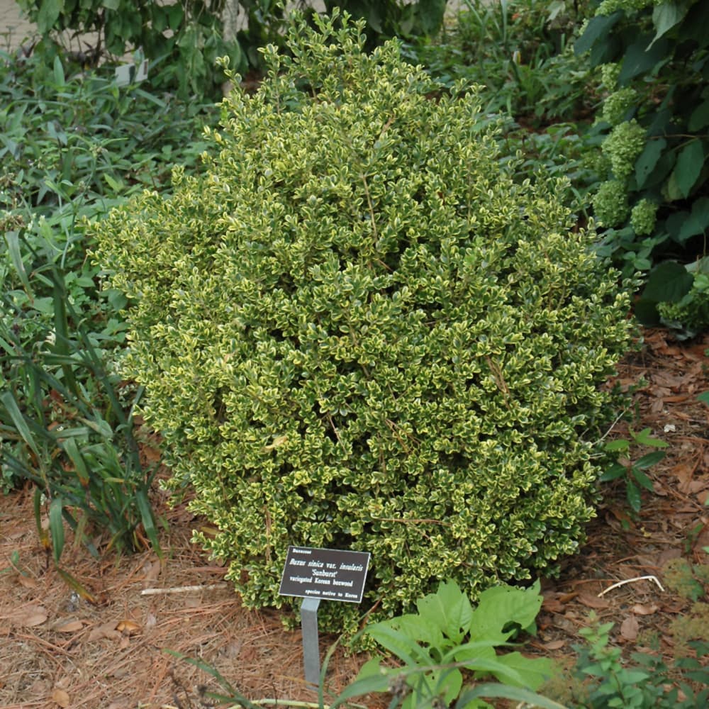 NetPS Plant Finder (www.netpsplantfinder.com)