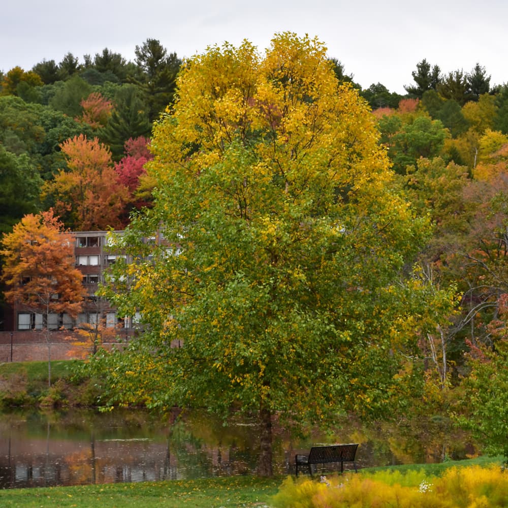 NetPS Plant Finder (www.netpsplantfinder.com)