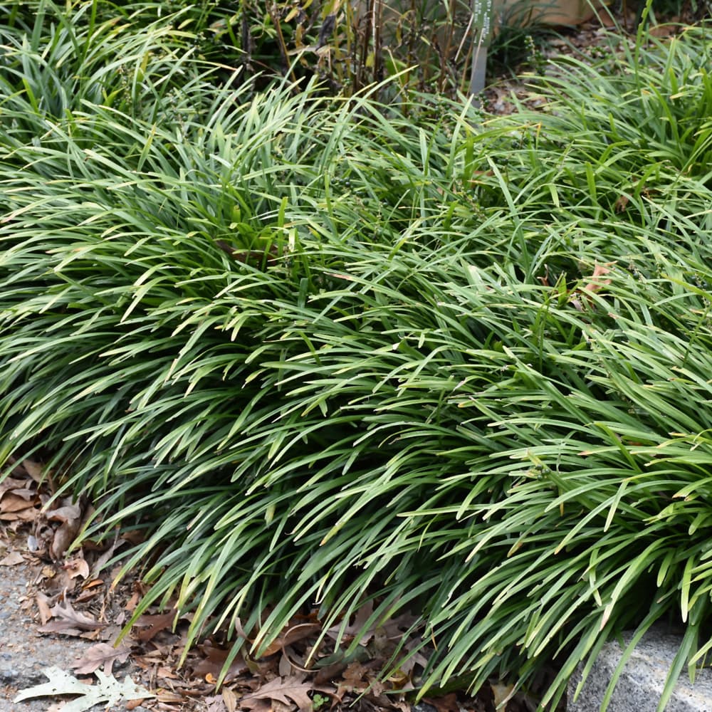 NetPS Plant Finder (www.netpsplantfinder.com)