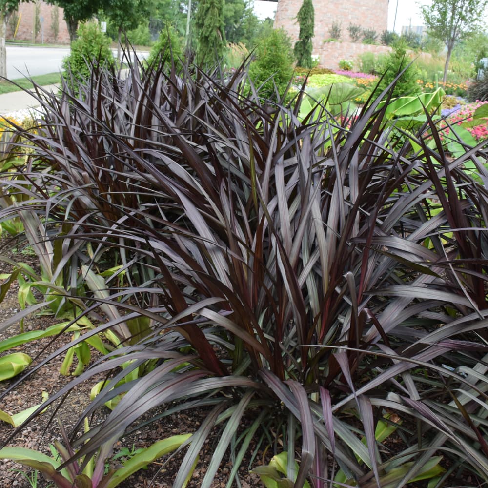 Grass Fountain First Knight