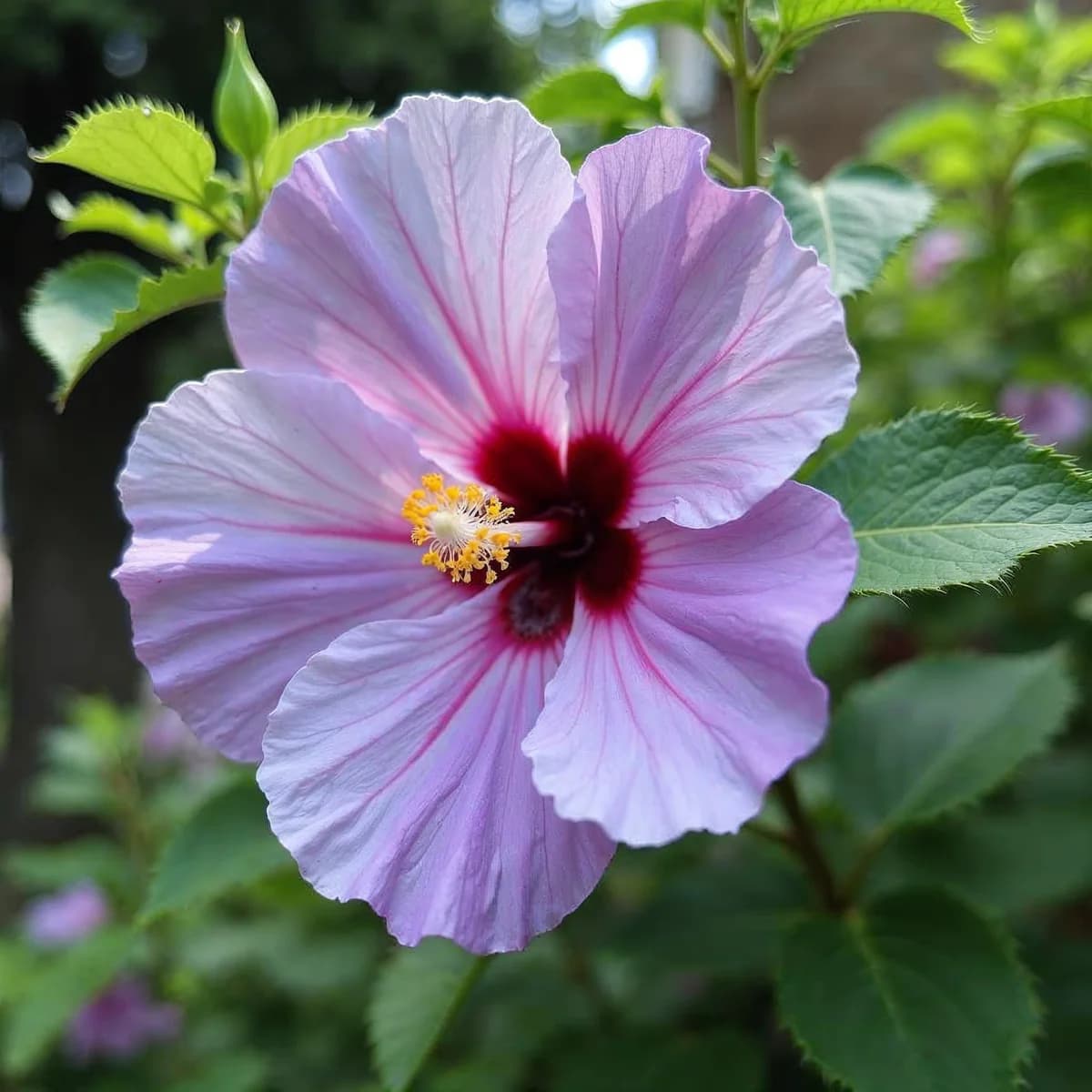 Rose of Sharon Rufled Satin